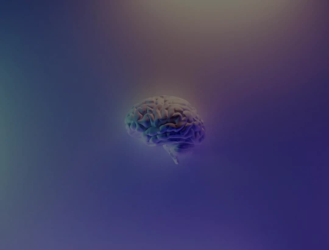 images.unsplash.com