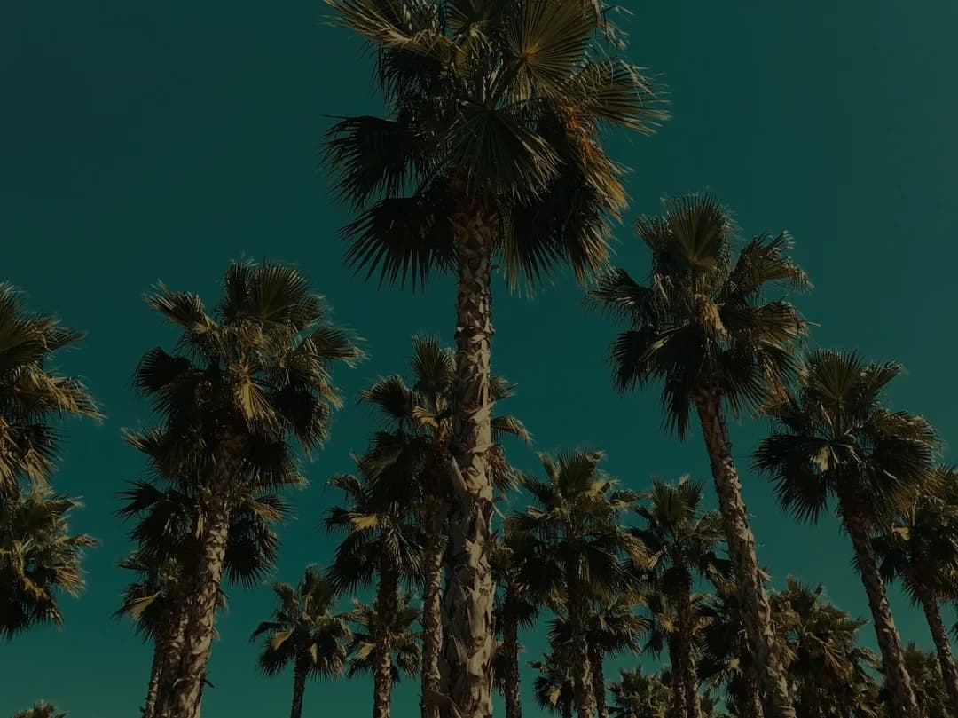 images.unsplash.com